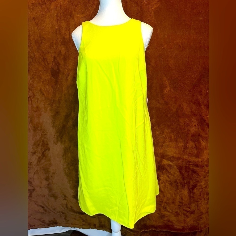 ⭐️ NWT Ralph Lauren Women's Neon Yellow Sleeveless Lined Dress- size 4 - Picture 3 of 9
